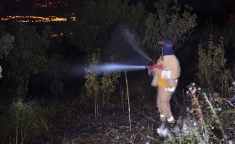 Kahramanmaraş’taki orman yangını söndürüldü