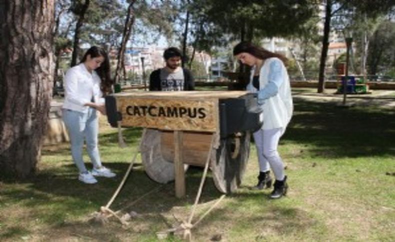 İzmir'de kampüs kedilerine eğlenceli barınak