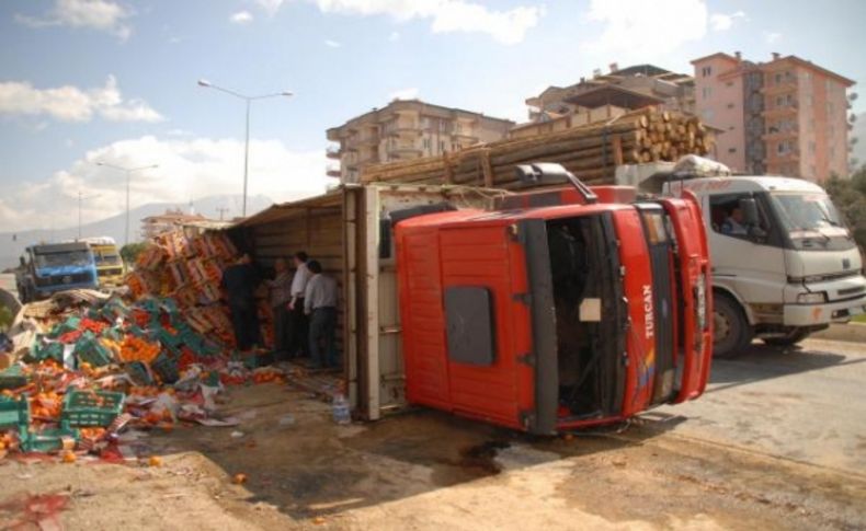 Kamyon devrildi, meyveler yola saçıldı