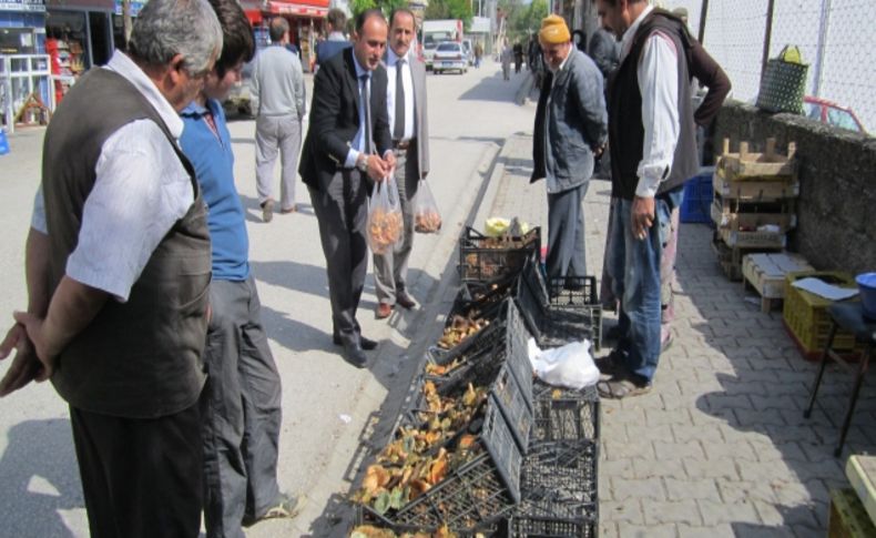 Kanlıca Mantarı 15 TL'den satılıyor