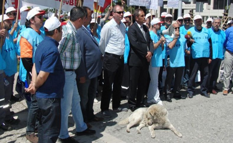 Jeotermal işçilerinden sözleşme eylemi