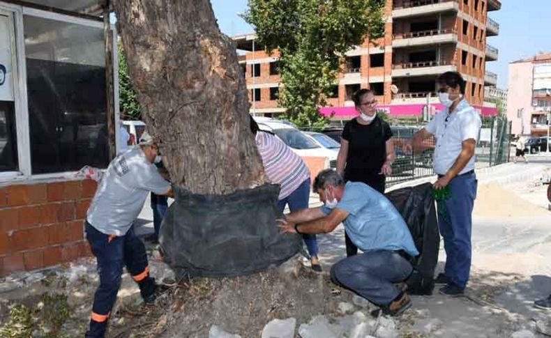 Karabağlar Belediyesi’nden yeşile saygı