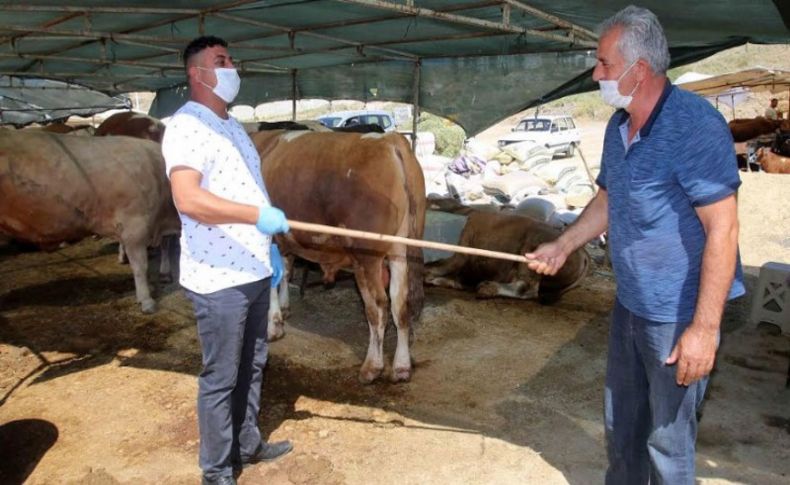 Karabağlar'da sosyal mesafeli kurbanlık satışı