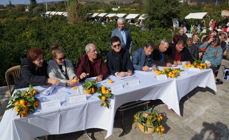 Karaburun'da 'turuncu' şenlik