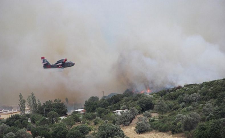 Karaburun'da 15 hektar kül oldu!