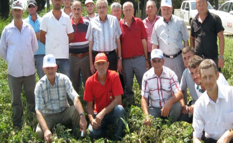 Karacabey'de tarımsal ürünler masaya yatırıldı