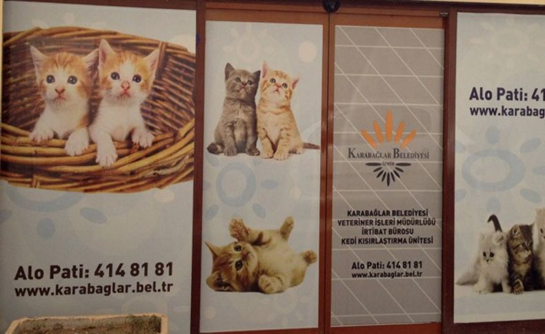 Karabağlar’da kedi kısırlaştırma ünitesi