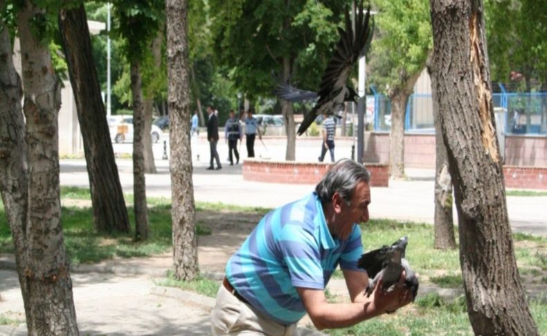 Kargalar yuvadan düşen yavrularına yardım edilmesine izin vermedi