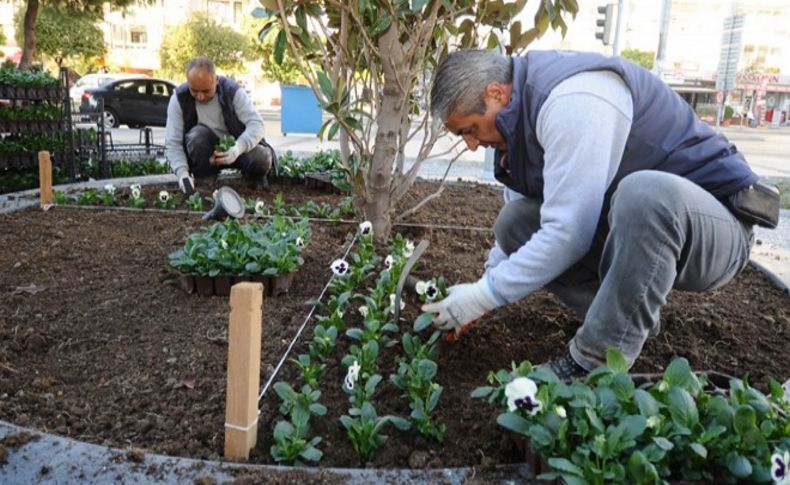 Karşıyaka çiçek açıyor