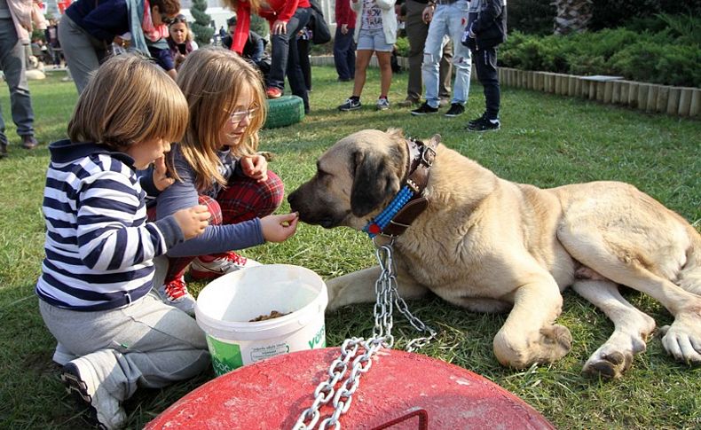 Karşıyaka’da ‘köpek ırkları’ yarışacak