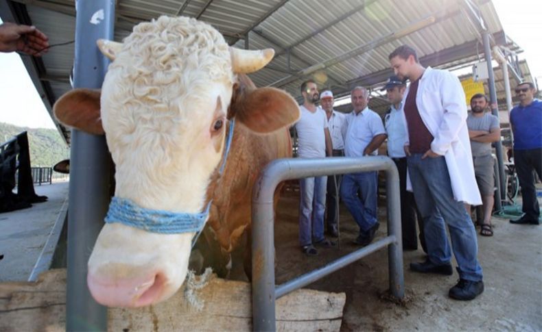 Karşıyaka Kurban Bayramı’na hazırlandı