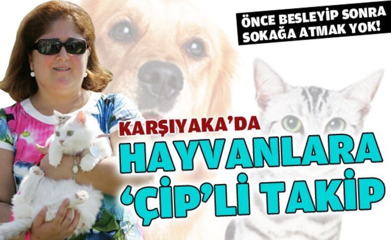 Karşıyaka Belediyesi sokak hayvanları için harekete geçti