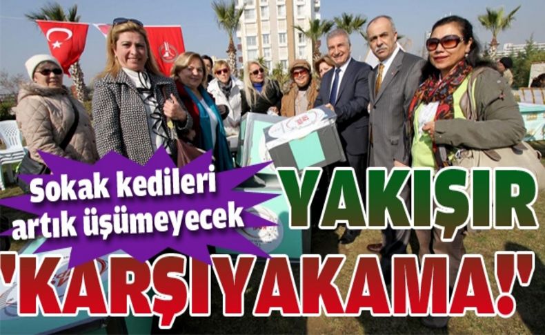 Karşıyaka'da sokak kedileri artık üşümeyecek