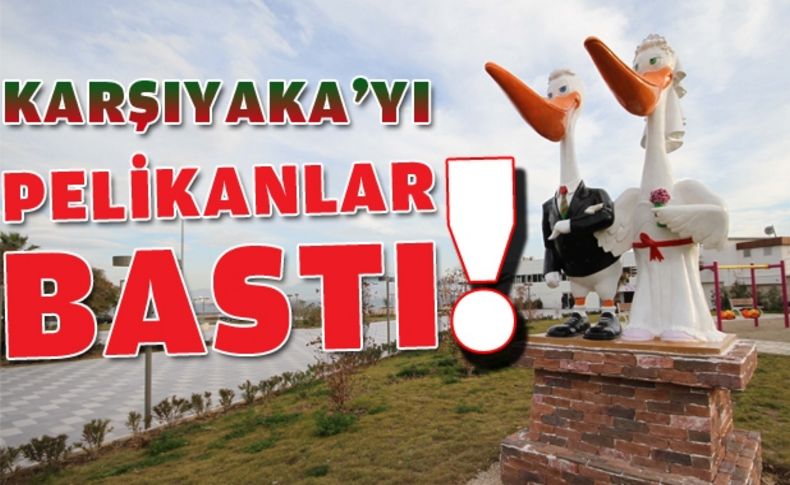 Karşıyakalılar pelikanları çok sevdi