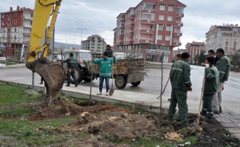 Kazan’da yol kenarlarına 5 bin ağaç dikildi