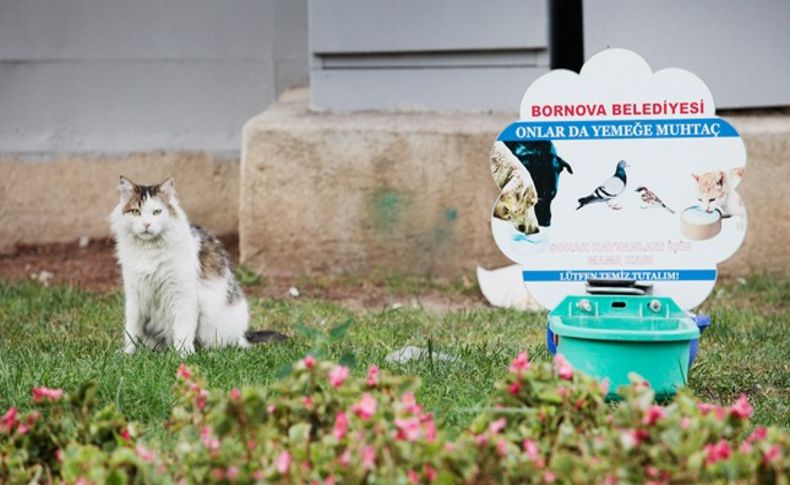 Bornova ‘onların’ da evi