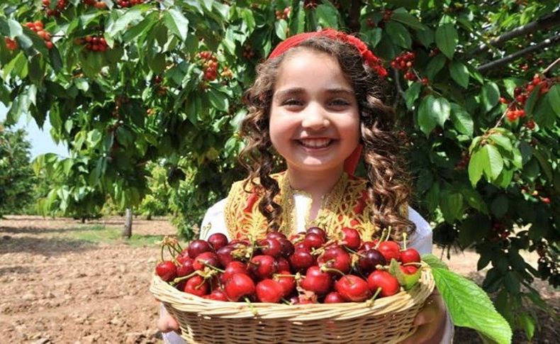 Kemalpaşa’da kiraz festivali başladı