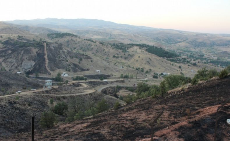 Kırıkkale’deki yangının boyutu gün aydınlanınca ortaya çıktı