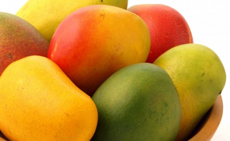 Kivi bağırsağa, mango terlemeye iyi geliyor