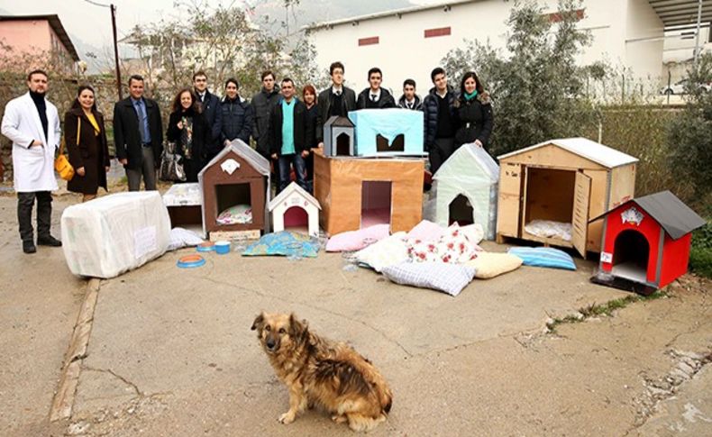 Karşıyaka'da atıklardan can dostlara kulübe yaptılar