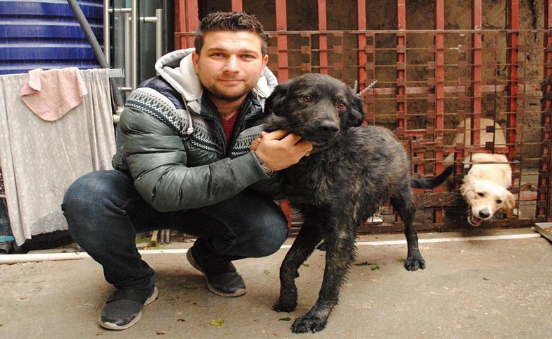 Köpeğinin ayağını ezen sürücüye dava açtı