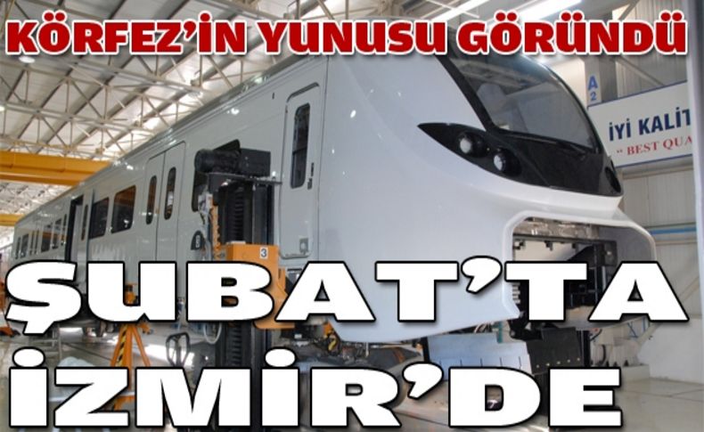 Körfez'in yunusu göründü!