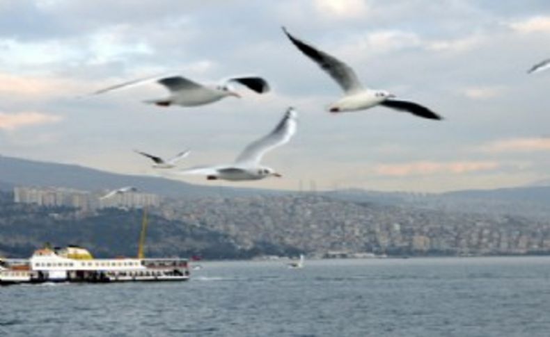 İzmir Valiliği'nin genelgesine denizde protesto