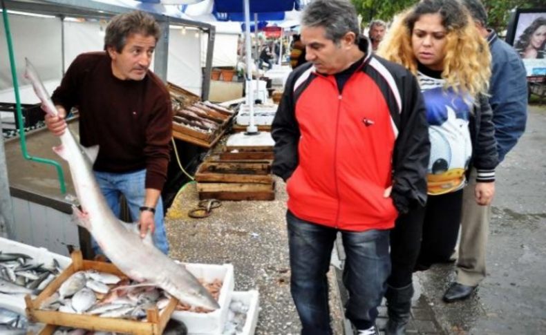 Koya girdi, ağlara takıldı
