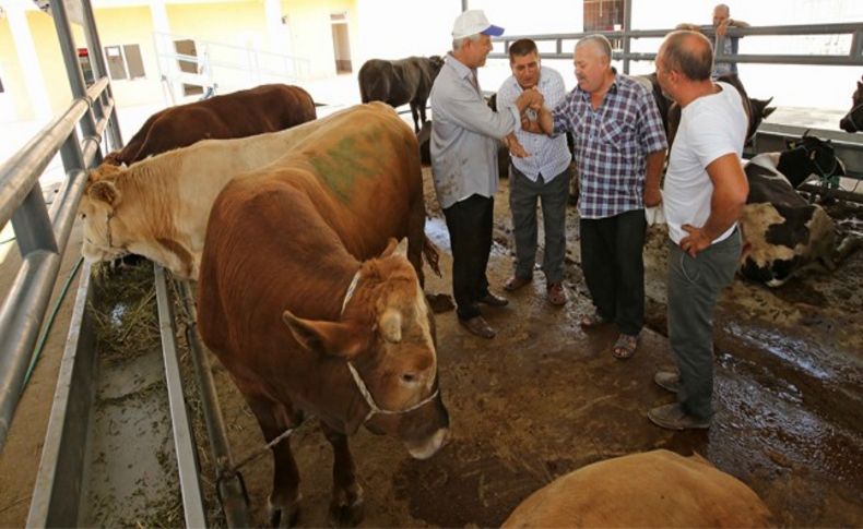 Karşıyaka Kurban Bayramı’na hazır