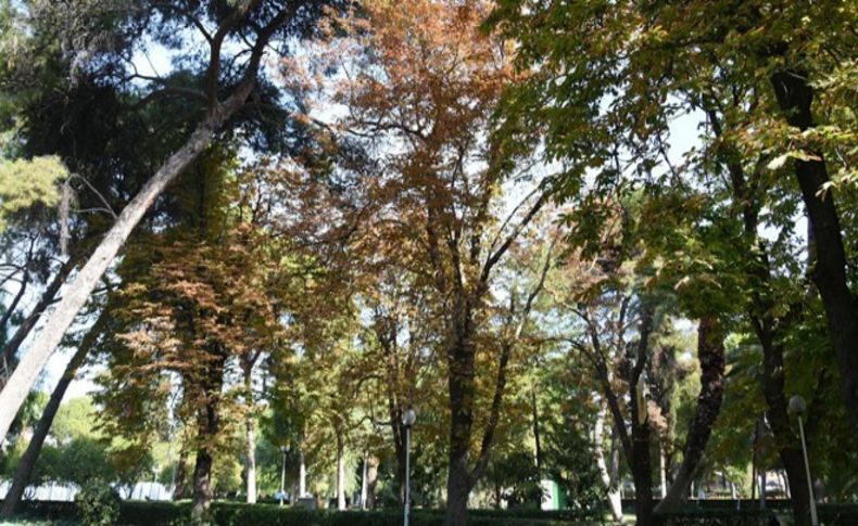 Kültürpark huzur veriyor