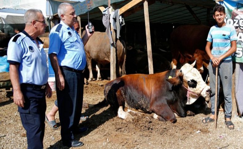 Kurban satış alanları denetimden geçti