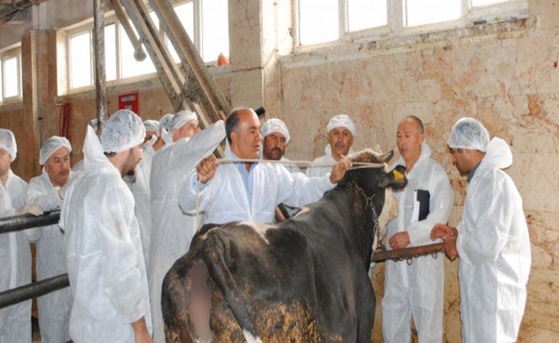 Kurban kesim kursuna katılan kursiyerler sertifikalarını aldı