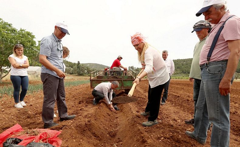 Başkan Uyar kuşkonmaz üretimine start verdi