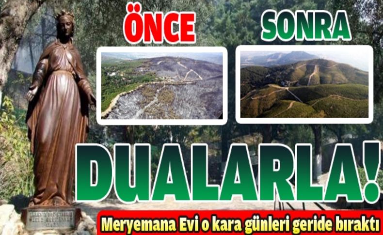 Kutsal Dağ, 7 yılda küllerinden yeniden doğdu