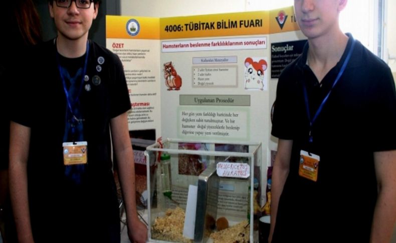 Lise öğrencileri doğal beslenen hemsterların daha hareketli olduğunu tespit etti