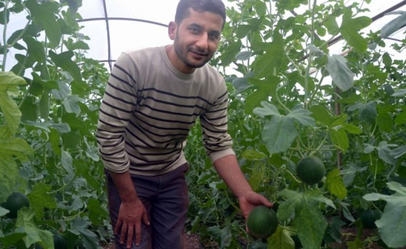 Makul fiyat, bol ürün çiftçiye daha çok para kazandırdı