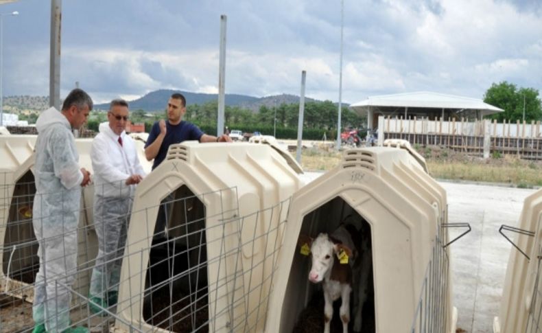 Manisa'nın beyaz et ihracatı 45 bin tona çıktı