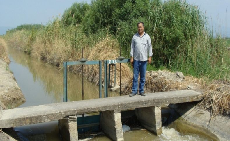 Menderes Nehri'nin kirliliği tarımı tehdit ediyor