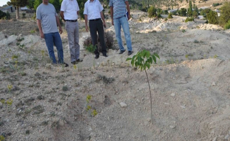 Mersin'de Ceviz ve Badem Eylem Planı hayata geçirildi