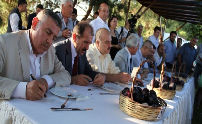 Meyve bayramında 'Adana'nın en güzel eriği' seçildi