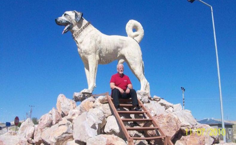 Milli köpek Kangal görev başında