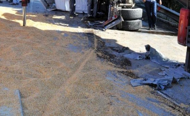 Misir Yüklü Tir Devrildi, Otoyol Ulaşima Kapandi