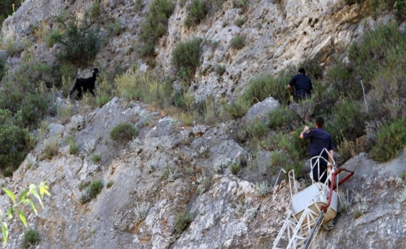 Muğla İtfaiyesi'nden keçi kurtarma operasyonu