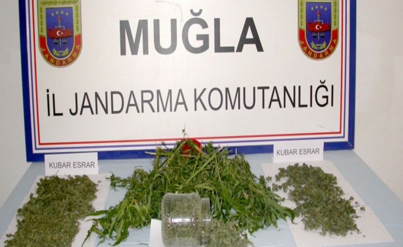 Muğla'da 2,5 kg esrar maddesi ele geçirildi