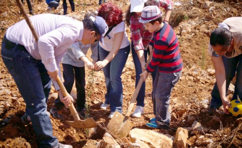 Muğla’da doktorlar 2 bin fidan dikti