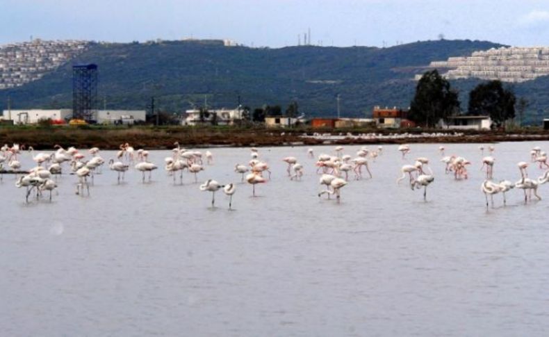 Muğla’nın kuş cennetleri