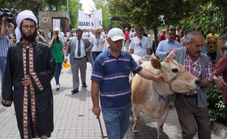 Mülkiyelilerin İnek Bayramı'nda ‘imamlı’, 'milli içki'li temsil