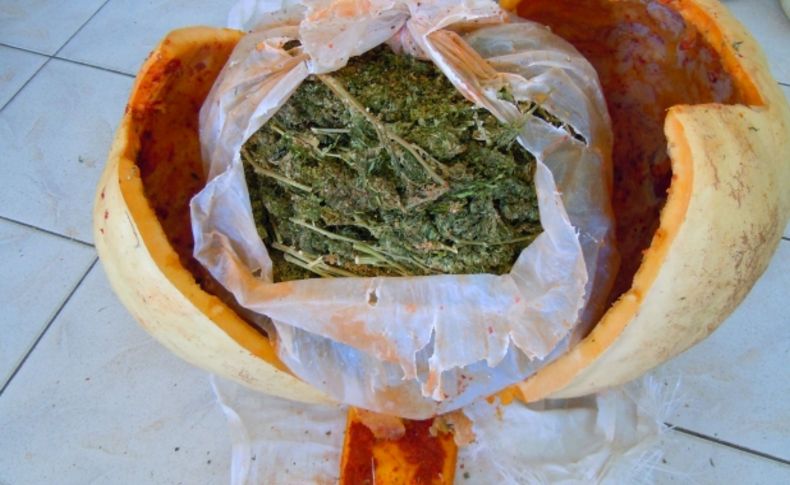 Operasyonda 182 kilo 275 gram esrar ele geçirildi, 17 zanlı gözaltına alındı