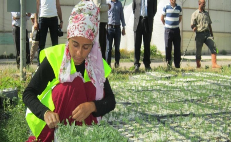 Orman Bölge Müdürlüğü yeni evlenen çiftler için orman kuracak