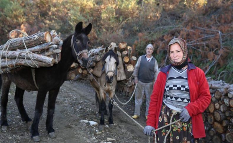 Ormanda çalışıp iki evlat yetiştirdiler